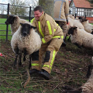 Large animal training for firefighters