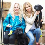 TOWIE stars step out for Guide Dogs