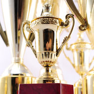 Pilot project gains recognition