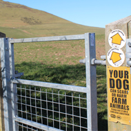 The BVA is backing a campaign for dog walkers to keep their animals on leads when around livestock.