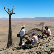 Reef in Namibia