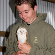 single owlet born at Heligan