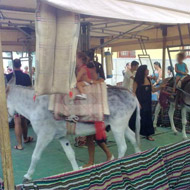 Donkeys working in a carousel