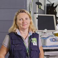 vet in horse clinic