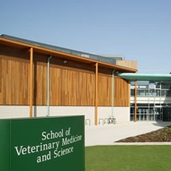 Nottingham vet school
