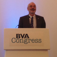 BVA Congress