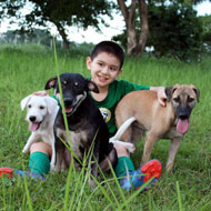 Ken with Blackie, Brownie and White Puppy