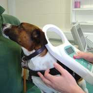 microchip scan