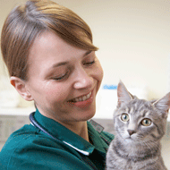 vet nurse with cat