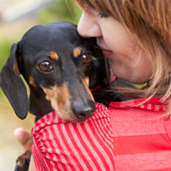 Dachshund and owner