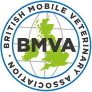 BMVA logo