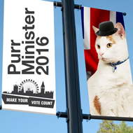 purr minister