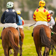 jockeys