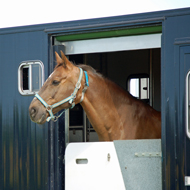 horse box