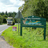 Forest of Dean (Jonathan Billinger)