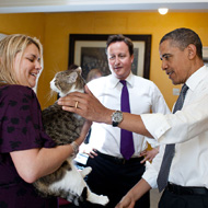 Larry with David Cameron and Barack Obama