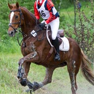 endurance riding