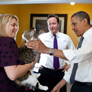 Larry with Barack Obama and David Cameron