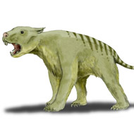 Marsupial lion