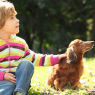 child and dog