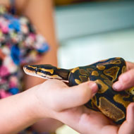 child with snake