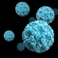 Norovirus