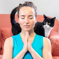 cat with person meditating