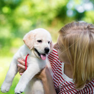 puppy and owner