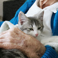 elderly woman with cat