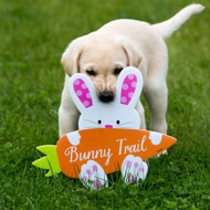 Puppy peeking through bunny ears