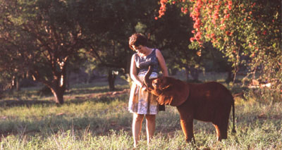 Wildlife conservationist Daphne Sheldrick dies aged 83