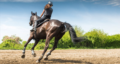 Warning over risk to horses from plastic granulate