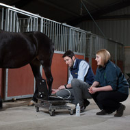  BCF launch free online equine CPD videos