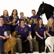 Equine News