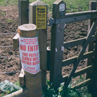 Equine News