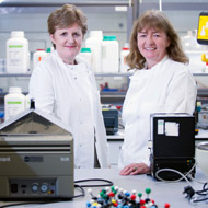 Livestock health researchers formalise partnership