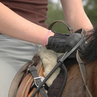Cutting edge saddle research may benefit welfare