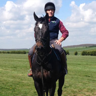 Equine News