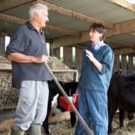 Equine News