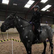 Equine News