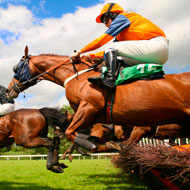 Former jockey volunteers for concussion study