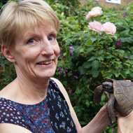GPS tracking and thermal imaging used to find missing tortoise