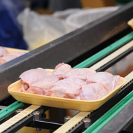Further action needed on campylobacter, consumers say
