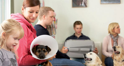 Defining and building a loyal client base