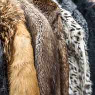 Fashion house Prada to stop using fur from 2020