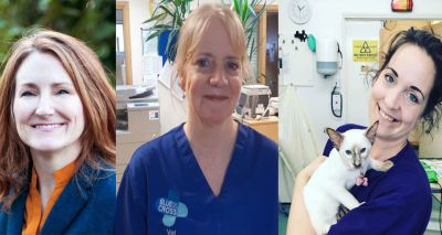 RCVS Knowledge Award winners announced