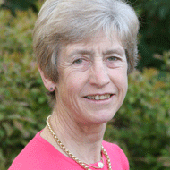 Sue Dyson retires from AHT