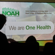 Seminars to help animal health professional prepare for no-deal Brexit
