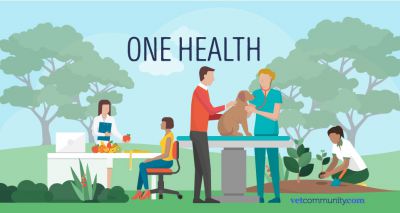 Report highlights crucial role of vets to One Health agenda