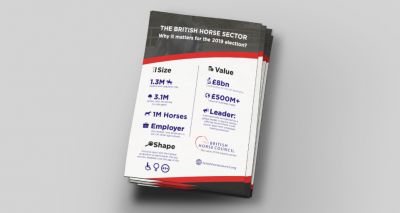 British Horse Council issues manifesto for general election